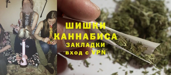 спиды Новодвинск