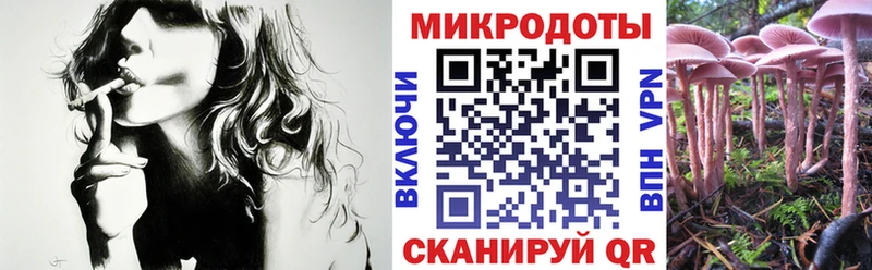 купить цена Николаевск Псилоцибиновые грибы мухоморы